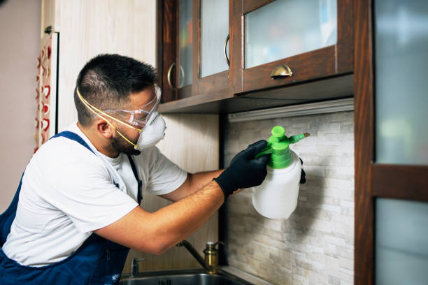 Best Cockroach Control Services  in Indian River, MI