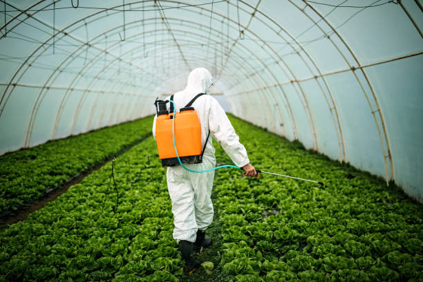 Best Pest Control for Homes  in Indian River, MI