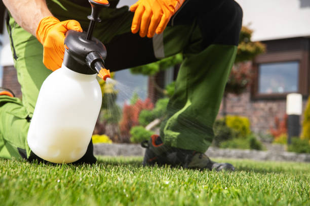 Best Ant Control Services  in Indian River, MI