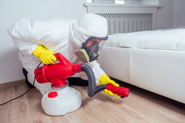 Reliable Indian River, MI Pest Control Solutions