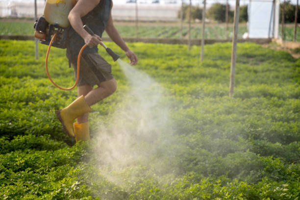 Best Mosquito Control Services  in Indian River, MI