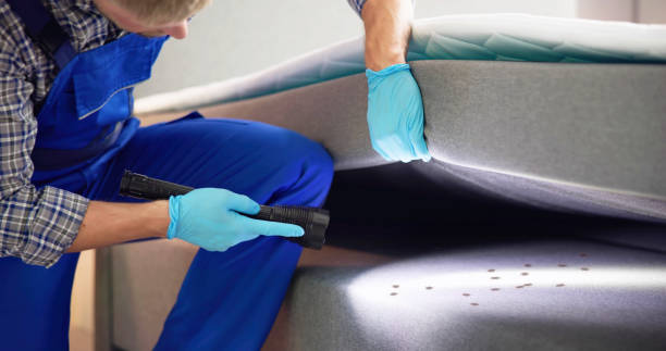 Flea Control Services in Indian River, MI