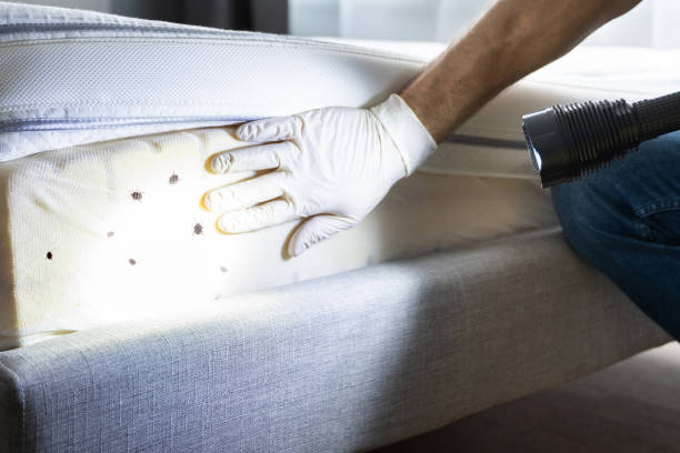 Best Commercial Pest Control Services  in Indian River, MI
