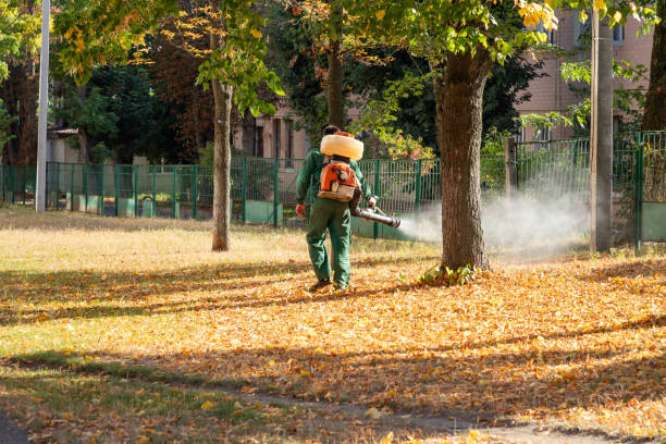 Best Exterminator Services  in Indian River, MI