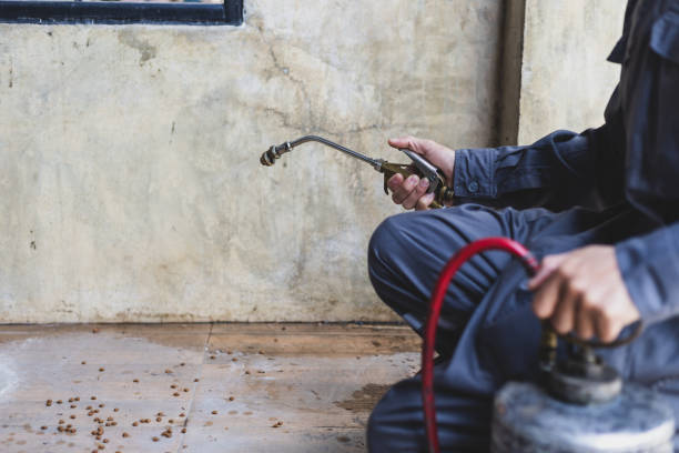 Best Affordable Pest Control Services  in Indian River, MI