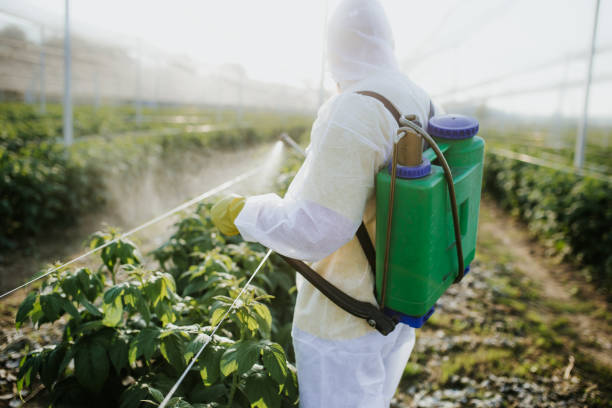 Best Insect Control  in Indian River, MI